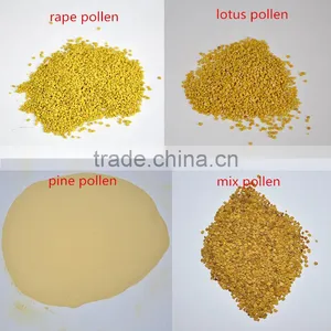 High Purity Nature Bee Pollen Farina thumbnail-5