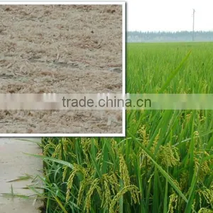 Agriculture Liquid Fertilizer Chitosan Foliar Fertilizer thumbnail-1