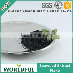 Worldful Manufacturer Seaweed Flake/Sargassum Seaweed/Seaweed Extract thumbnail-1