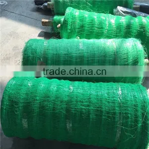 Plant Climbing Plastic Net thumbnail-2