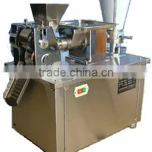 Small Dumpling Machine thumbnail-1