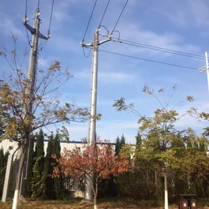 10kv Distribution Momopole thumbnail-2