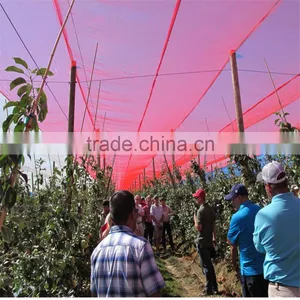 Quolity Cheapest HDPE Knitted White Apple Tree Anti Hail Net thumbnail-1