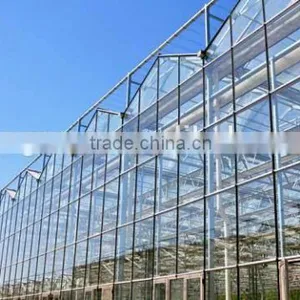 Glass Greenhouse-2 thumbnail-4