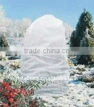 PP Nonwoven Ground Covers Agricultral Ground Cover Garden Ground Cover thumbnail-1