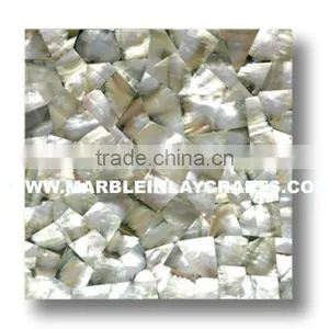 Shell Mop Excellent Tiles thumbnail-1