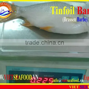 FROZEN W/R RED TAIL TINFOIL BARB thumbnail-1