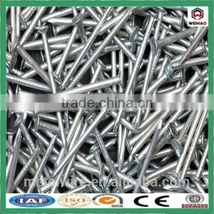 Express Hot Sale Polishing Common Nail Product thumbnail-1