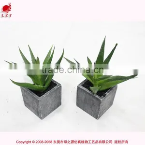 Chinese Factory Artificial Mini Aloe Plant Fake Mini Succulent Potted thumbnail-2