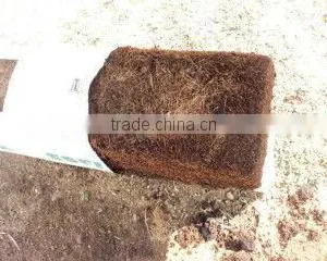 Grow Bag thumbnail-1