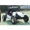 1300mm Front-wheel Gauge, 70 Km/h, Double Swing Arm Off Road Go Karts PYT800-EEC thumbnail-1