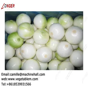 Onion Processing Machine Line|Onion Peeling and Root Cutting Plant|Onion Skin Remover Low Price thumbnail-5