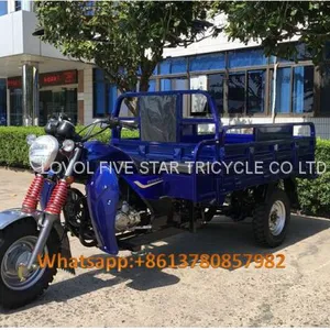 Gasoline Tricycle Cargo Loader Lovol Three Wheeler Mali Ethiopia Ghana Bukina Faso Tanzania Kenya Senegal Togo Benin Nigeira Mauritania Angola Burundi Chad Cameroon C ô te D'Ivoire Gabon Guinea Mozambique Rwanda Congo Uganda Zimbabwe thumbnail-2