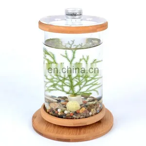 Desktop Eco Bottle Creative Office Tempered Glass Micro Landscape Tank Rotating Bedroom Fish Tank Fish Tank Mini Small thumbnail-5
