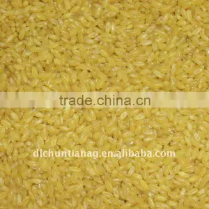 Golden Rice thumbnail-1