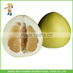 New Arrival Grapefruit Fresh Sweet Honey Pomelo With Good Quality thumbnail-1