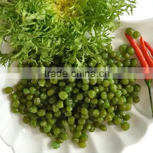 Sweet Green Beans thumbnail-1