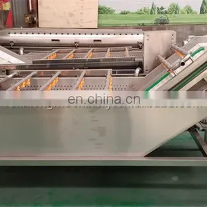 Latest Design Salad Leafy Vegetable Processing Washing Machine thumbnail-2