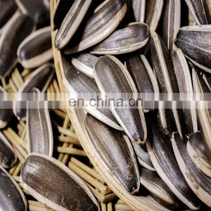 Argentina Sunflower High Oil Seeds thumbnail-4