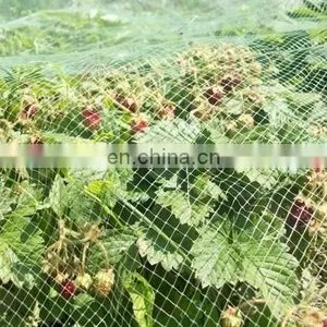 High Quality Agriculture Apple Tree Protection Anti Insect Net for Agriculture Protection Net Garden thumbnail-4