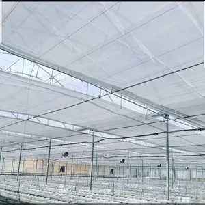 Manufacturers Greenhouse Energy Saving Screen thumbnail-5