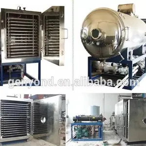 Shanghai Vacuum Freeze Dryer / Lyophilizer Machine for Industrial Fruit and Vegetables thumbnail-3