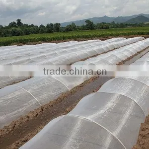 100% Virgin HDPE Agricultural Plant Insect Mesh thumbnail-6