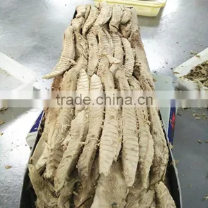 Made in China Frozen Bonito Tuna Loin for Canned thumbnail-1