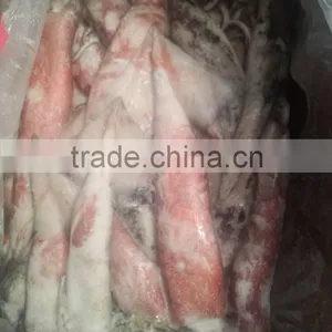 Frozen Whole Round High Quality Squid and Todarodes Pacificus thumbnail-6