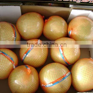 Sweet Honey Pomelo thumbnail-1