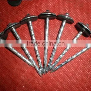 Fast Sell Good Quanlity Umbrella Head Twisted Nails thumbnail-6