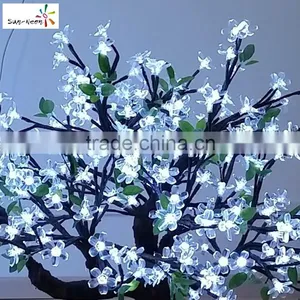 Hot Sale Mini Cherry Blossom Tree Cheap Cherry Blossom Bonsai Tree With High Quality Bonsai Tree Sale thumbnail-2