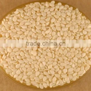 White Sesame Seeds thumbnail-1