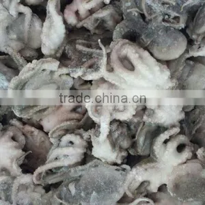 FROZEN OCTOPUS (FLOWER) thumbnail-4