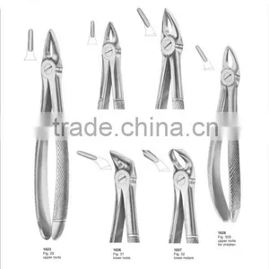 Tooth Extracting Forceps thumbnail-1