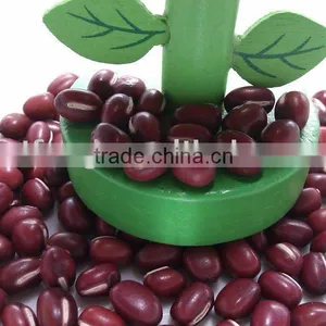 Organic Chinese Adzuki Bean/Small Red Bean( 2010 Crop) Hps thumbnail-1