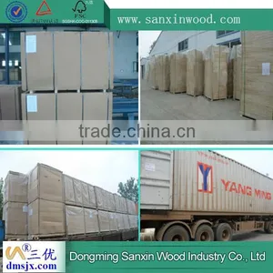 High Quality Waterproof Plywood thumbnail-1