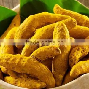 Bulp Turmeric Fingure in Indi thumbnail-5