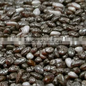 SALVIA HISPANICA SEED thumbnail-2
