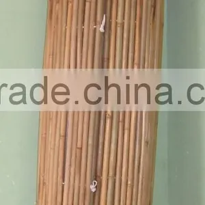 VIETNAM BAMBOO FENCE, BAMBOO POTS With CHEAP PRICE and GOOD QUALITY - GIA GIA NGUYEN thumbnail-4