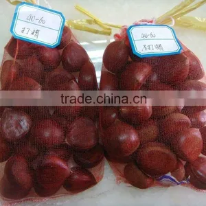 Chestnut Type Raw Chestnut thumbnail-1