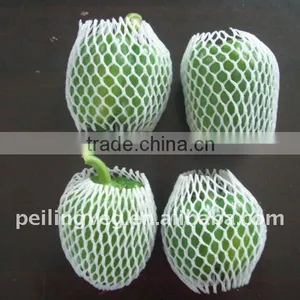 2011 Good Quality Fresh Color Pepper thumbnail-1