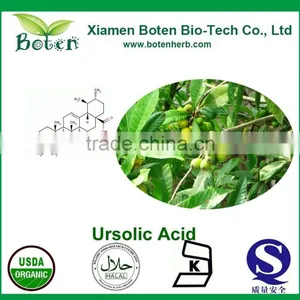 13%~99% Anti-inflammatory Ursolic Acid thumbnail-1