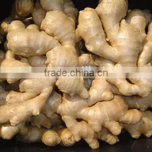 Fresh Ginger thumbnail-2