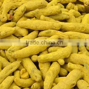 Exporters of Dried Turmeric/Turmeric Curcumin thumbnail-1