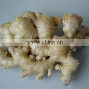 Import Gan Jiang Extract Powder thumbnail-1