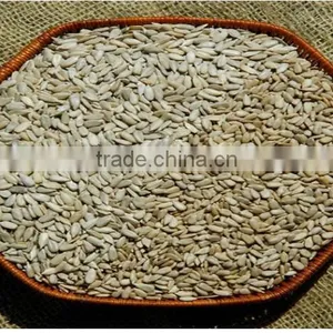 Raw Sunflower Kernels for Wholesaler thumbnail-3
