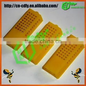 Plastic Queen Cage Bee Equipment thumbnail-5