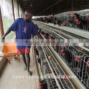 TAIYU Chicken Farm Chicken Cage for Sale thumbnail-1