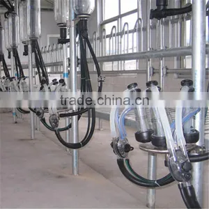 Farm Milking Parlour Plant for Goats and Sheep thumbnail-1